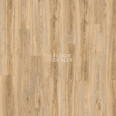 Кварцвиниловые полы Moduleo LayRed Pro дерево Blackjack Oak 22220 фото 1 | FLOORDEALER